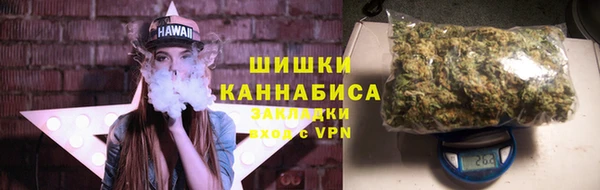apvp Алзамай