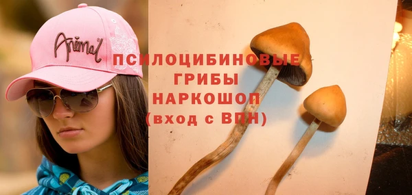 apvp Алзамай