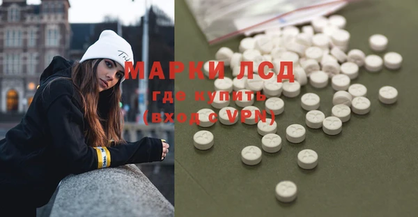 apvp Алзамай