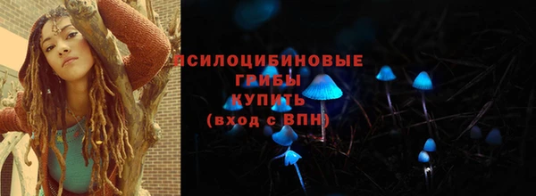 спиды Арсеньев